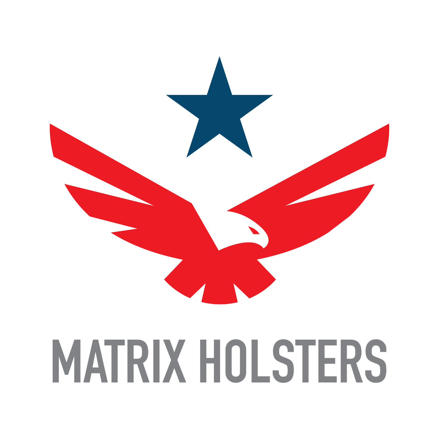 Matrix Holsters